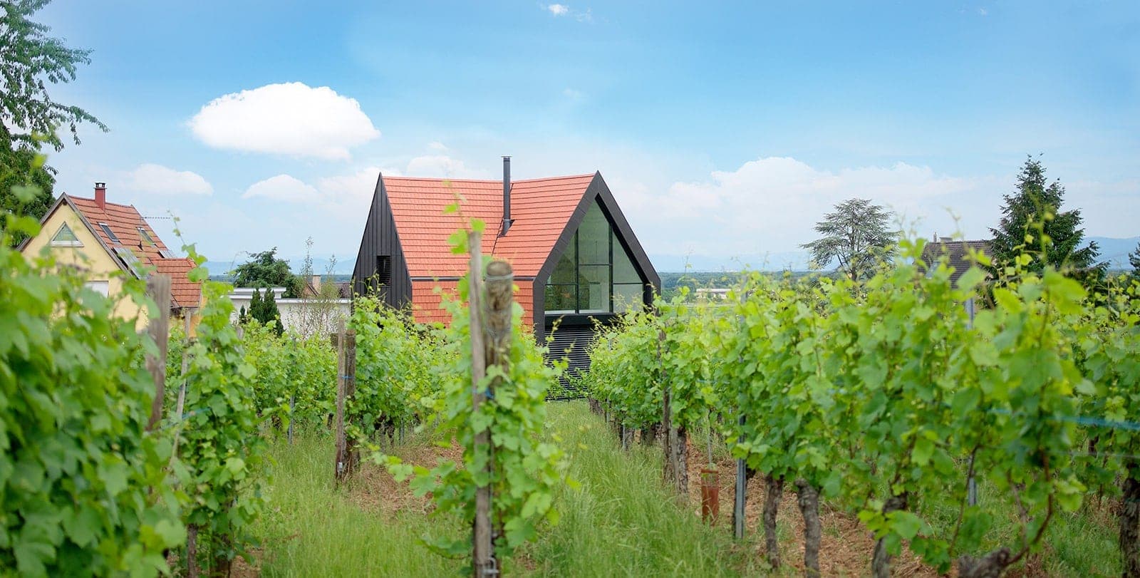 Maison contemporaine couverte de tuiles et de bardage noir au milieu des vignes d'Alsace